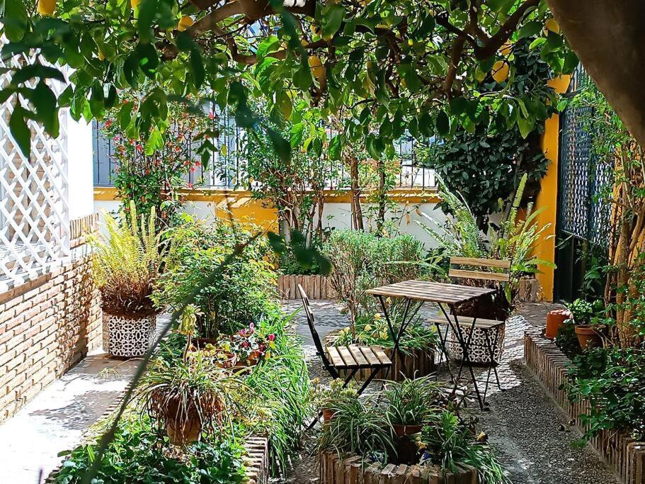 Casa Limonero Con Parking Gratis Junto A Centro Historico Villa Granada Exterior foto