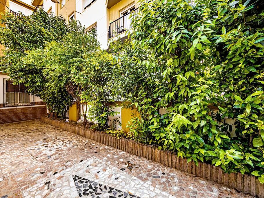 Casa Limonero Con Parking Gratis Junto A Centro Historico Villa Granada Exterior foto