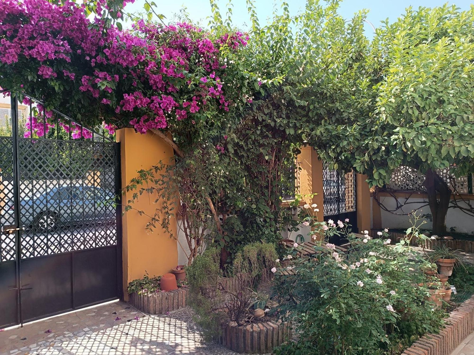 Casa Limonero Con Parking Gratis Junto A Centro Historico Villa Granada Exterior foto